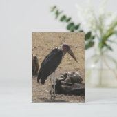 secretaresse briefkaart (Staand voorkant)