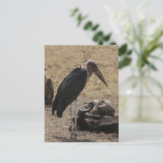 secretaresse briefkaart (Staand voorkant)