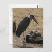 secretaresse briefkaart (Voorkant / Achterkant)