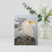 Secretaris Bird Briefkaart (Staand voorkant)
