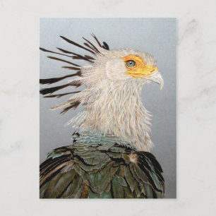 Secretaris Bird Briefkaart