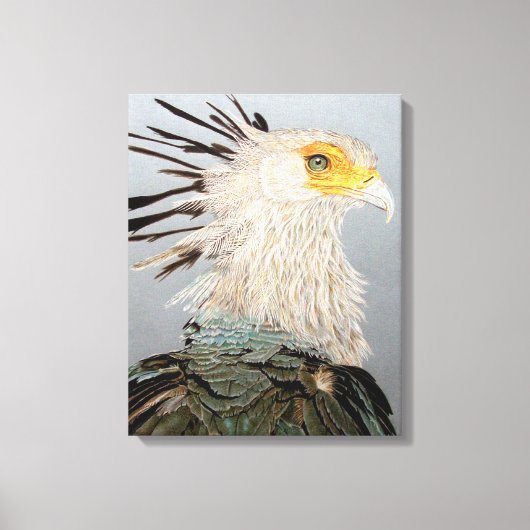 Secretaris Bird Canvas Afdruk (Voorkant)