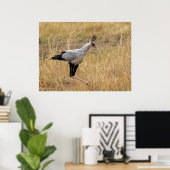 Secretaris Bird op de jacht Poster (Thuiskantoor)