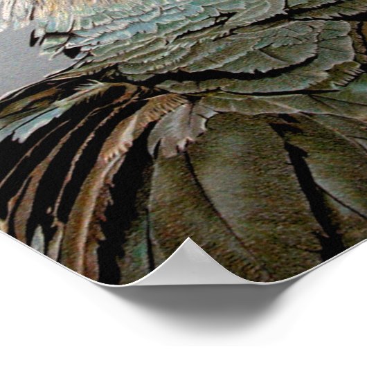 Secretaris Bird Poster (Hoek)