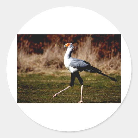 Secretaris Bird Ronde Sticker (Voorkant)
