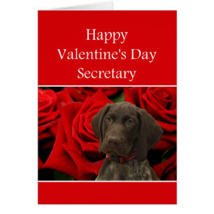 Secretaris Glossy Grizzly Valentijn Puppy Love