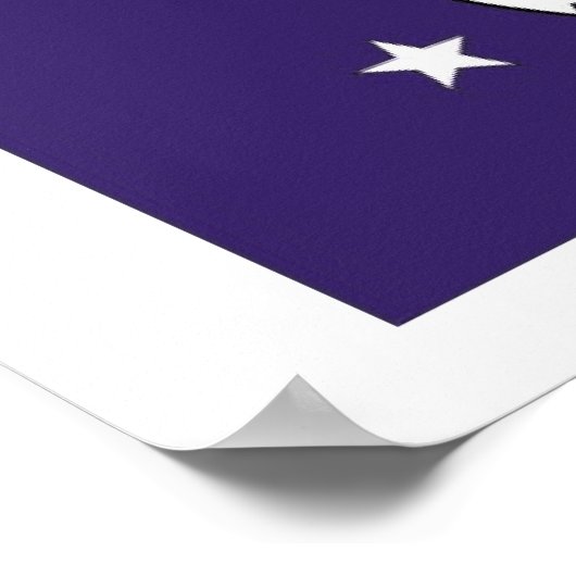 Secretaris van de marine van de Verenigde Staten Poster (Hoek)