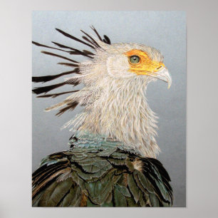 Secretarisvogel Poster
