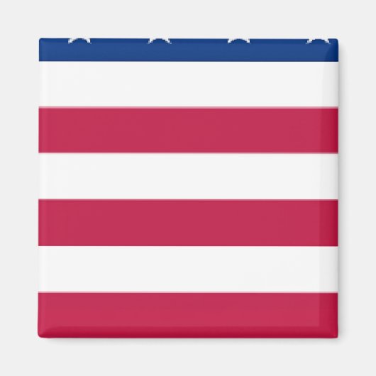 sectie 5 van 8 secties - VS VLAG - magneet (Voorkant)