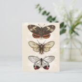  sectie-illustratie briefkaart (Staand voorkant)