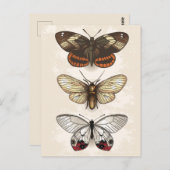  sectie-illustratie briefkaart (Voorkant / Achterkant)