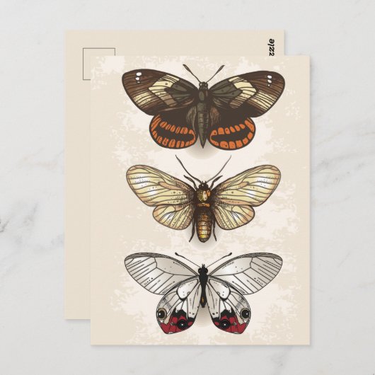 sectie-illustratie briefkaart (Voorkant / Achterkant)