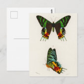 sectie-illustratie briefkaart (Voorkant / Achterkant)