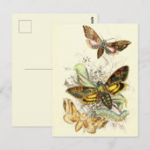  sectie-illustratie briefkaart (Voorkant / Achterkant)