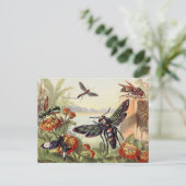  sectie-illustratie briefkaart (Staand voorkant)