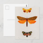  sectie-illustratie briefkaart (Voorkant / Achterkant)