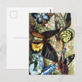  sectie-illustratie briefkaart (Voorkant / Achterkant)