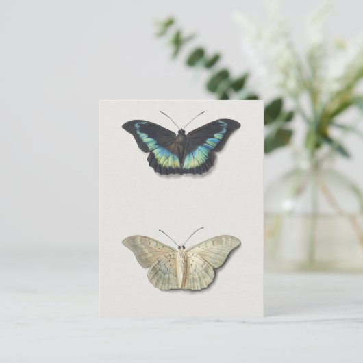  sectie-illustratie briefkaart (Staand voorkant)