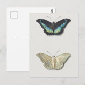  sectie-illustratie briefkaart (Voorkant / Achterkant)