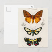  sectie-illustratie briefkaart (Voorkant / Achterkant)
