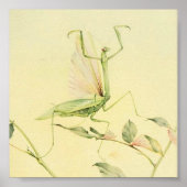  sectie-illustratie poster (Voorkant)