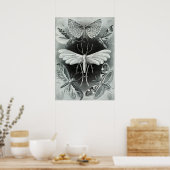  sectie-illustratie poster (Keuken)