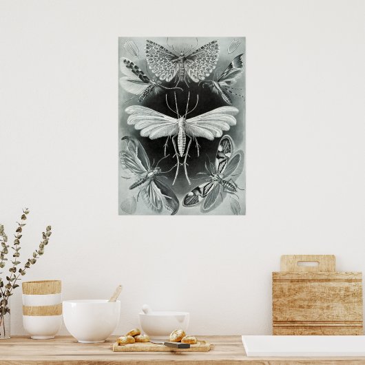  sectie-illustratie poster (Keuken)