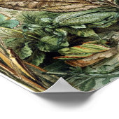  sectie-illustratie poster (Hoek)