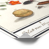  sectie-illustratie poster (Hoek)