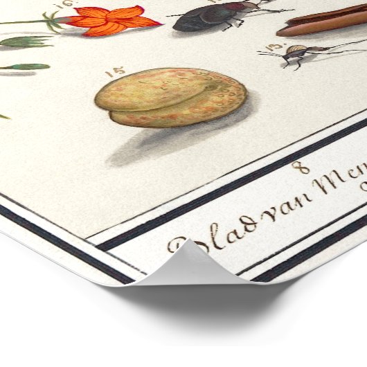  sectie-illustratie poster (Hoek)