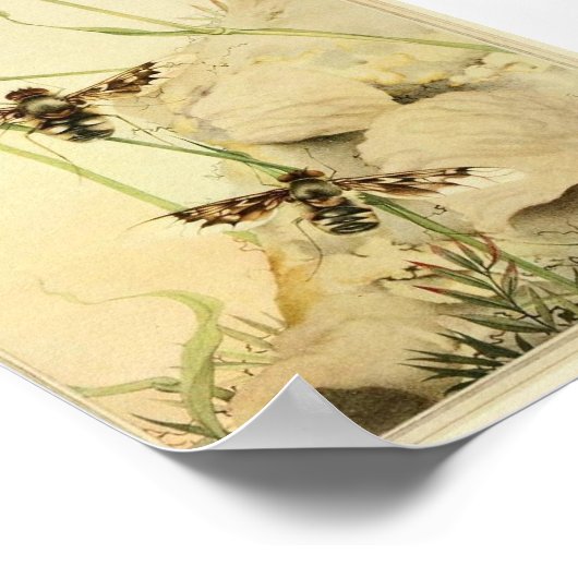  sectie-illustratie poster (Hoek)