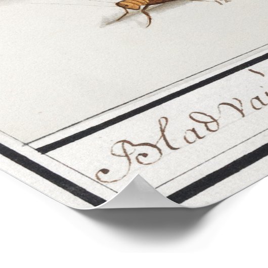 sectie-illustratie poster (Hoek)