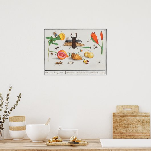  sectie-illustratie poster (Keuken)