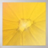 Sectie Lemon Poster (Voorkant)