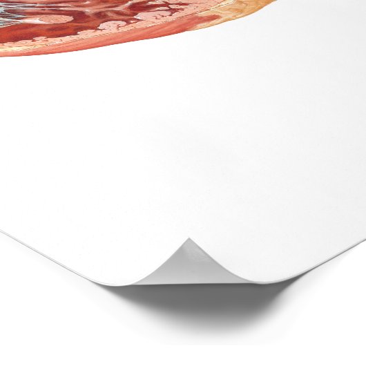 Sectie van het hart door Frank H. Netter, MD Poster (Hoek)