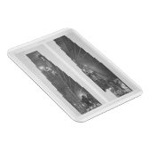 Secties van de galerij in de Grote Piramide, Gize Magneet (Rechterzijde)