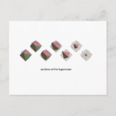 Secties van de Hypercube Briefkaart (Voorkant)