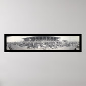 Sedalia MO Cattle Photo 1911 Poster (Voorkant)