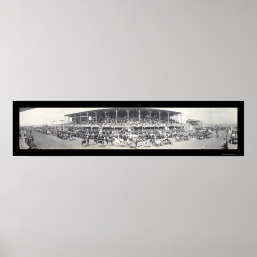 Sedalia MO Cattle Photo 1911 Poster (Voorkant)