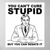 Sedate Stupid Funny Poster (Voorkant)
