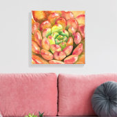 Sedeveria 'Pink Ruby' van Debra Lee Baldwin Canvas Afdruk (Insitu (Woonkamer))