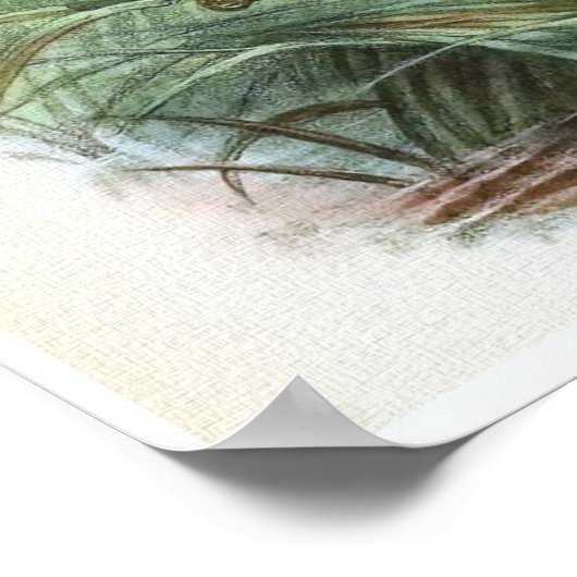 Sedge Wren  Bird Illustratie Poster (Hoek)