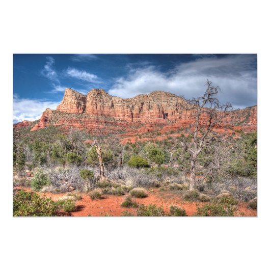 Sedona Arizona rode rots landschap Foto Afdruk (Voorkant)