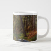 SEDONA ARIZONA STREAMING ANDER DAG GROTE KOFFIEKOP (Rechts)