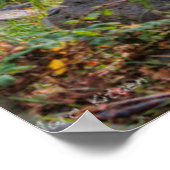 SEDONA ARIZONA STREAMT EEN ANDER DAG POSTER (Hoek)