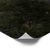 Sedona, Arizona Valley 3069 Poster (Hoek)