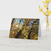 Sedona Autumn Notecard Kaart (Gele Bloem)