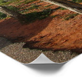 Sedona - Bell Rock Poster (Hoek)