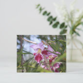 Sedona Bloemen Briefkaart (Staand voorkant)
