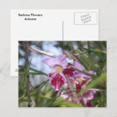 Sedona Bloemen Briefkaart (Voorkant / Achterkant)
